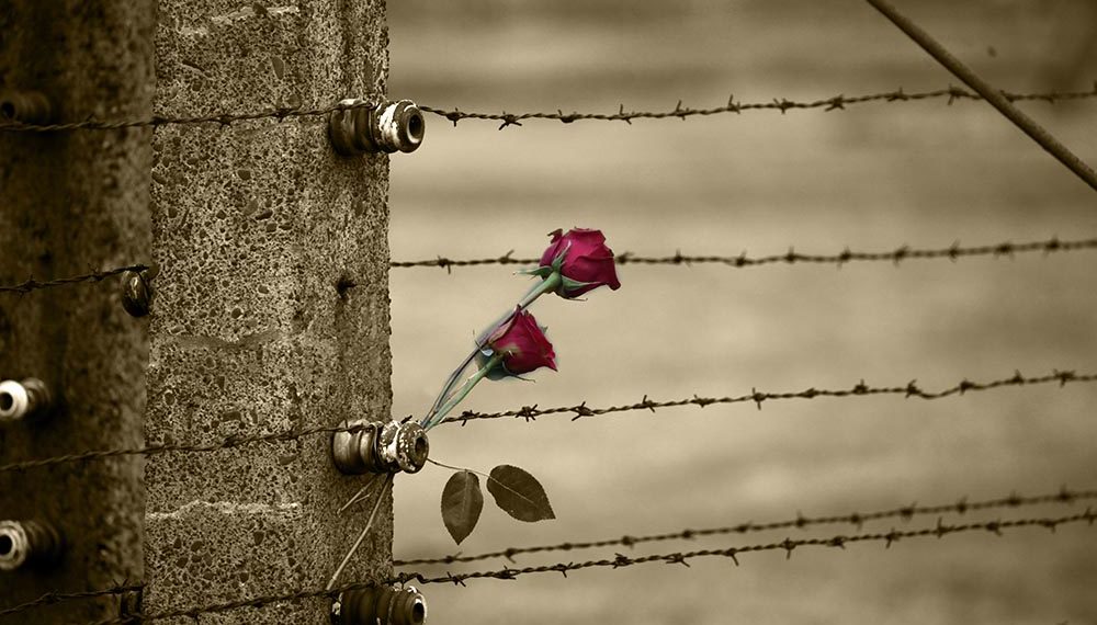 La Shoah e altri orrori: la storia da conoscere