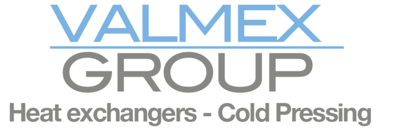 Logo_Valmex