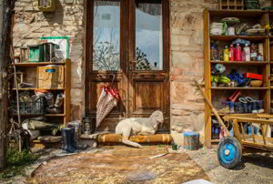 Il volto dell’altro. Mostra fotografica di Mathias Canapini